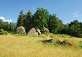 Blockheide Foto Sommer_12.jpg