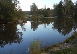 Blockheideteich-2016-K.JPG