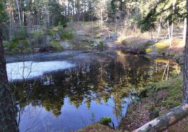 Kleiner Mondteich.jpg