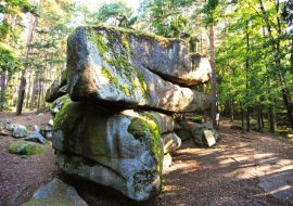 Blockheide Foto Sommer_7.jpg