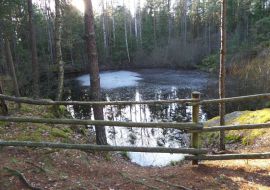 Großer Mondteich.jpg