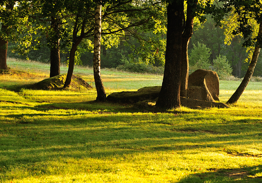 Naturpark, Blockheide, Landschaft, Gmünd, Waldviertel
