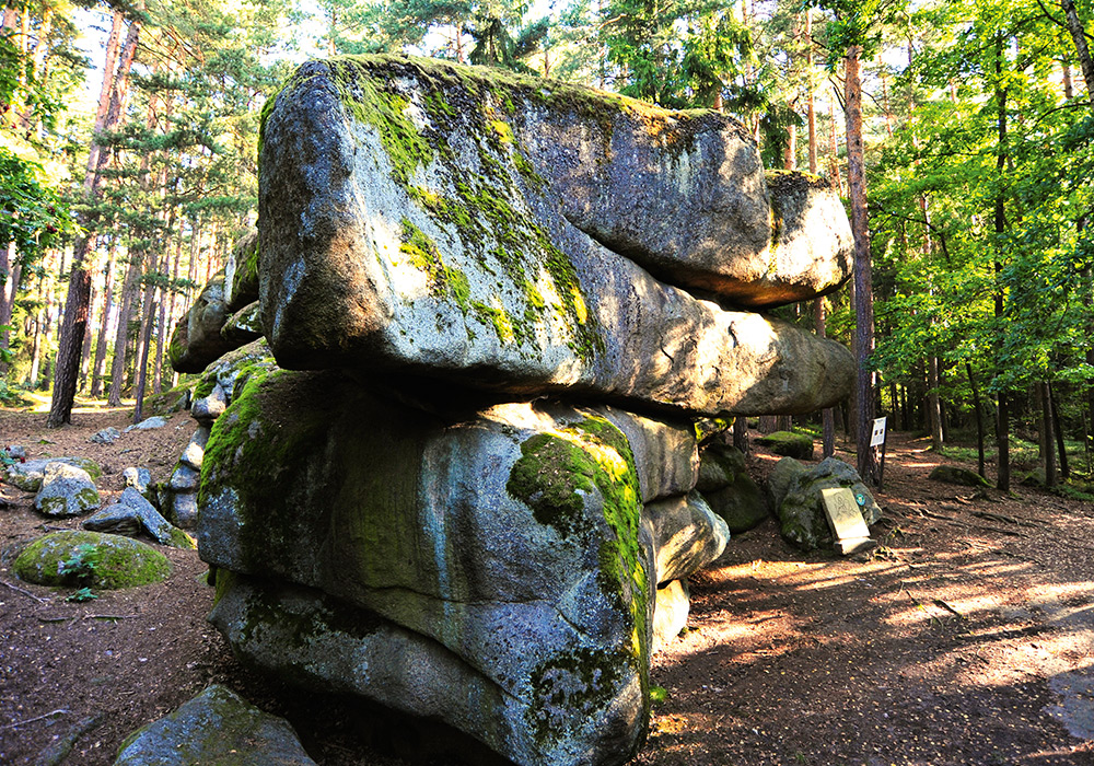 Verein, Naturpark, Blockheide, Gmünd, NÖ